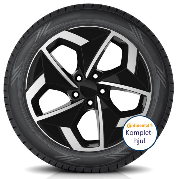 WI29 BP + pneumatico 1200 Conti Alufælge samlet med vinterdæk og TPMS 20"