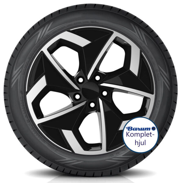 WI29 BP + pneumatico_neutro 1200 Barum Alufælge samlet med vinterdæk og TPMS 20"